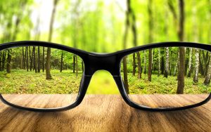 clear vision, glasses in a forest